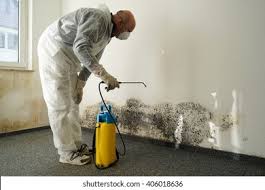 Best Mold Removal for HVAC Installations in Colfax, CA